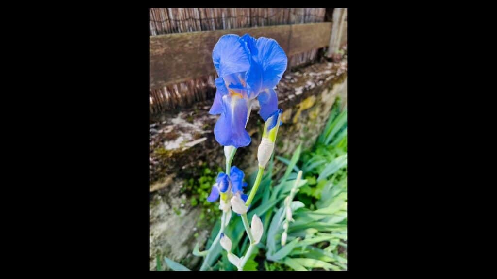 creteil Randonnee Creteil 1993 1024x576 1