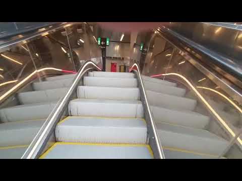 Villejuif Nouvelle station de metro Villejuif Gustave Roussy ligne 11